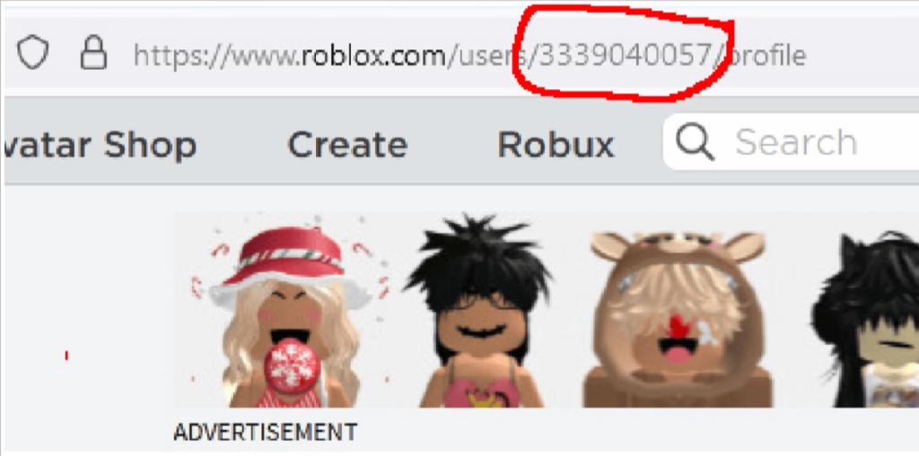 How To Find Your Roblox User ID On Mobile 