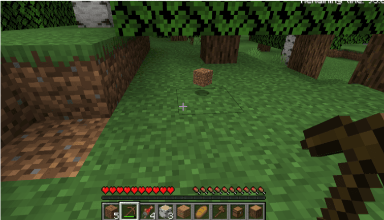 Grass Block