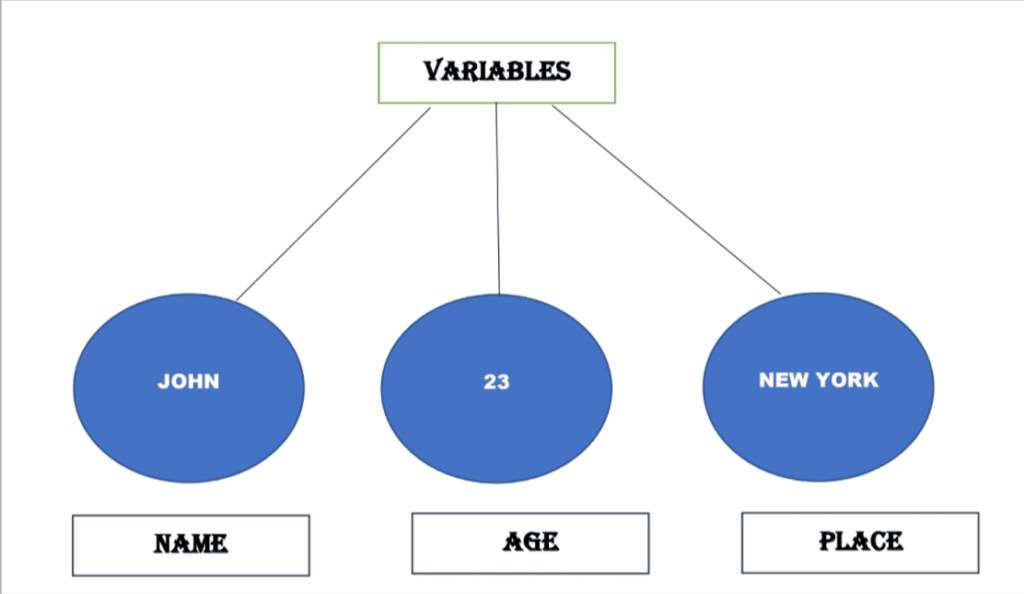 Types Of Variables In Scratch