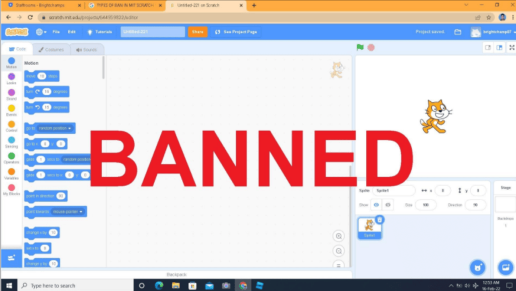 What Is A Ban In Scratch