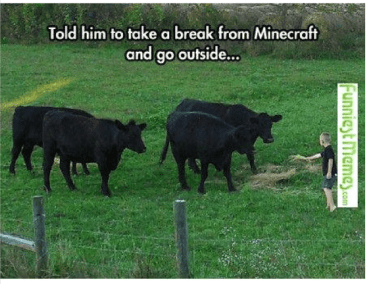 20 Funny Minecraft Memes