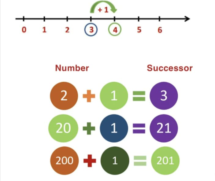 What Is The Meaning Of Successor In Maths