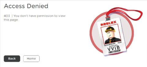 How To Get Unbanned From Roblox: Best Ways In 2022 - BrightChamps Blog