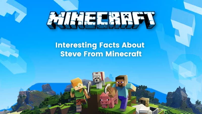 All About Minecraft Steve Interesting Facts About Steve From Minecraft