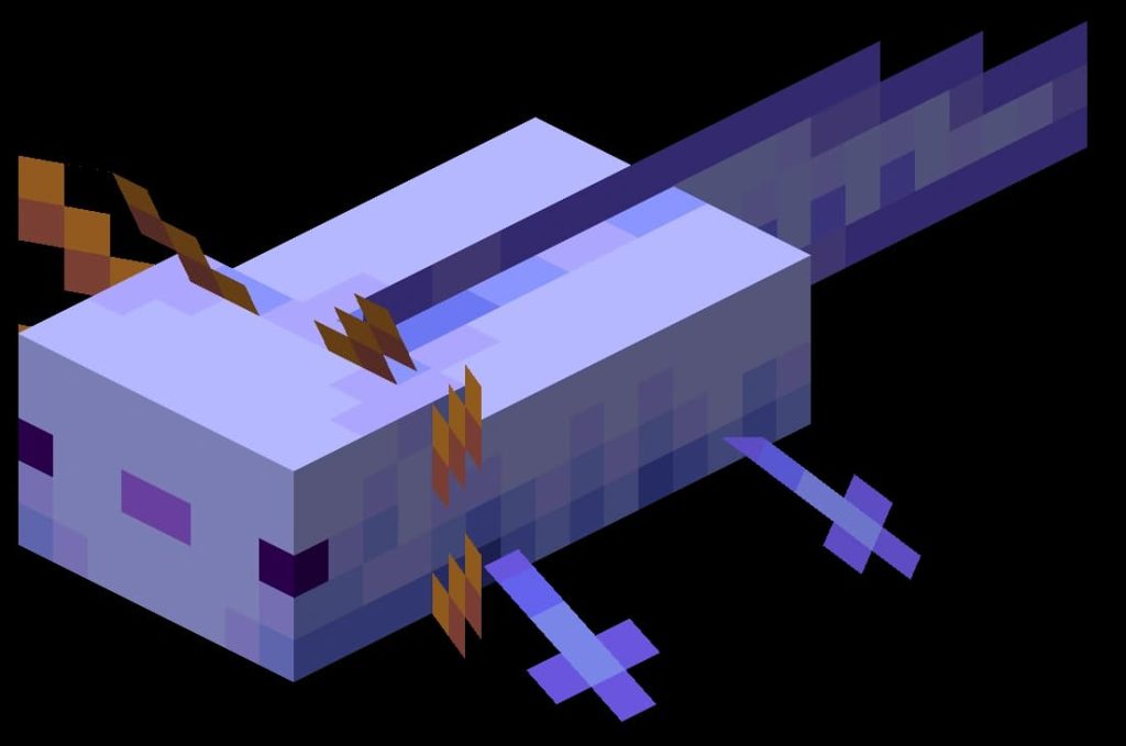 Blue Axolotl In Minecraft