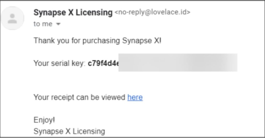 Synapse X: Top Hacks, Download and Installation Guide - BrightChamps Blog