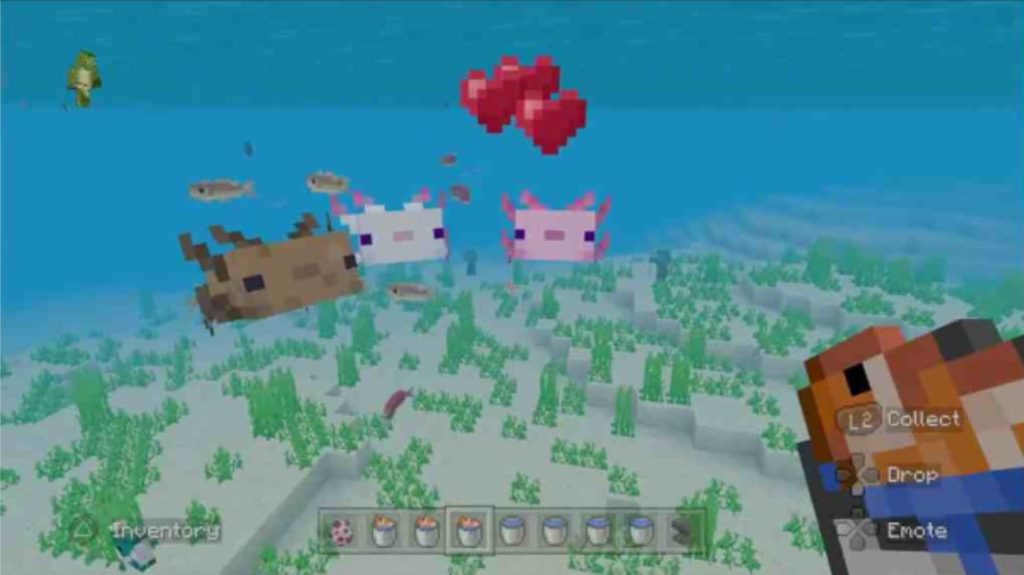 How to Tame, Breed, and Summon Minecraft Axolotl