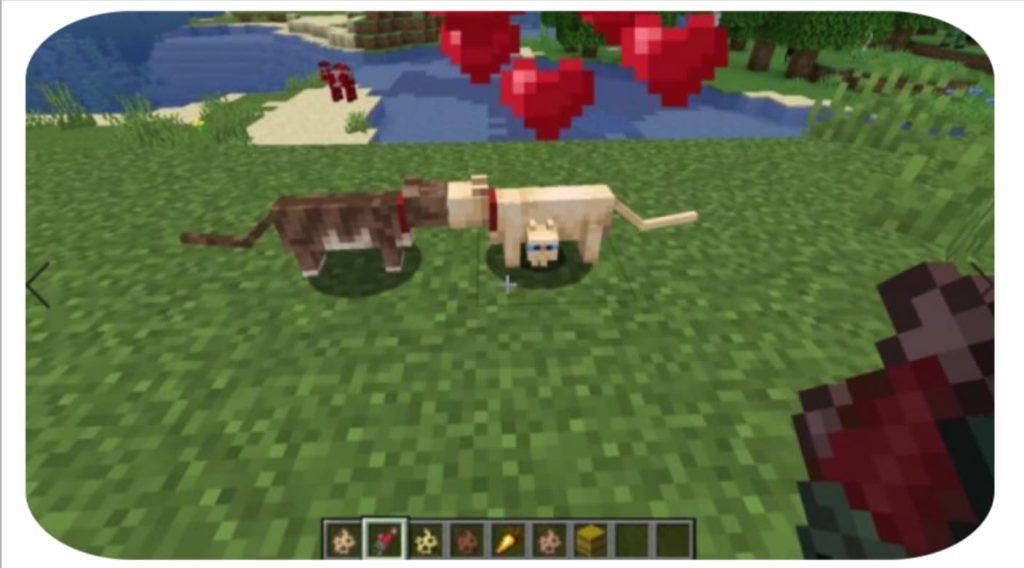 How to Breed Cats in Minecraft [2022] - BrightChamps Blog