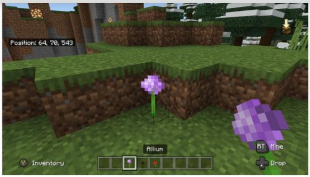 Minecraft Flowers