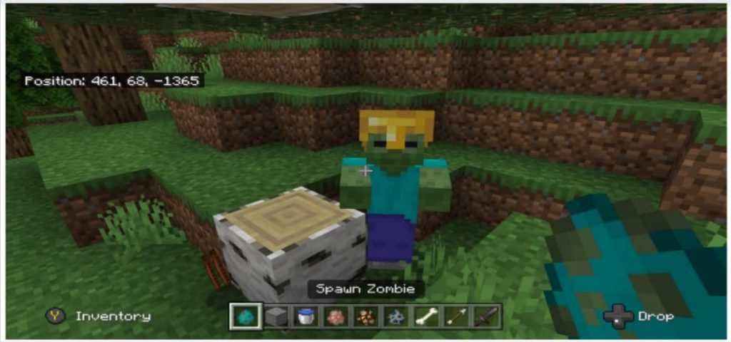 Minecraft Java and Bedrock Edition 