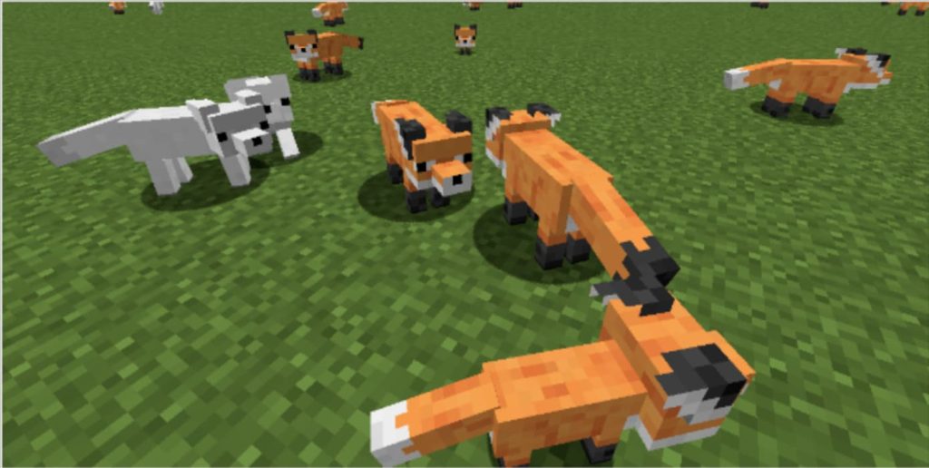 Ultimate guide to Tame a Fox in Minecraft - BrightChamps Blog