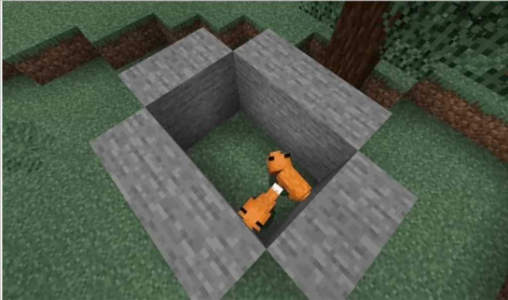 tame a fox in minecraft