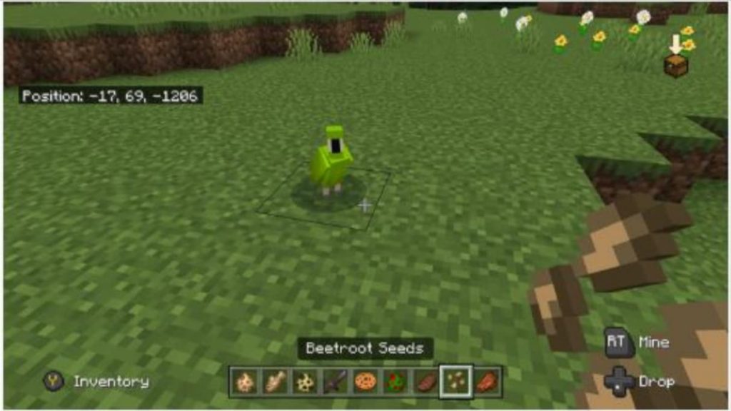 Minecraft Animals To Tame