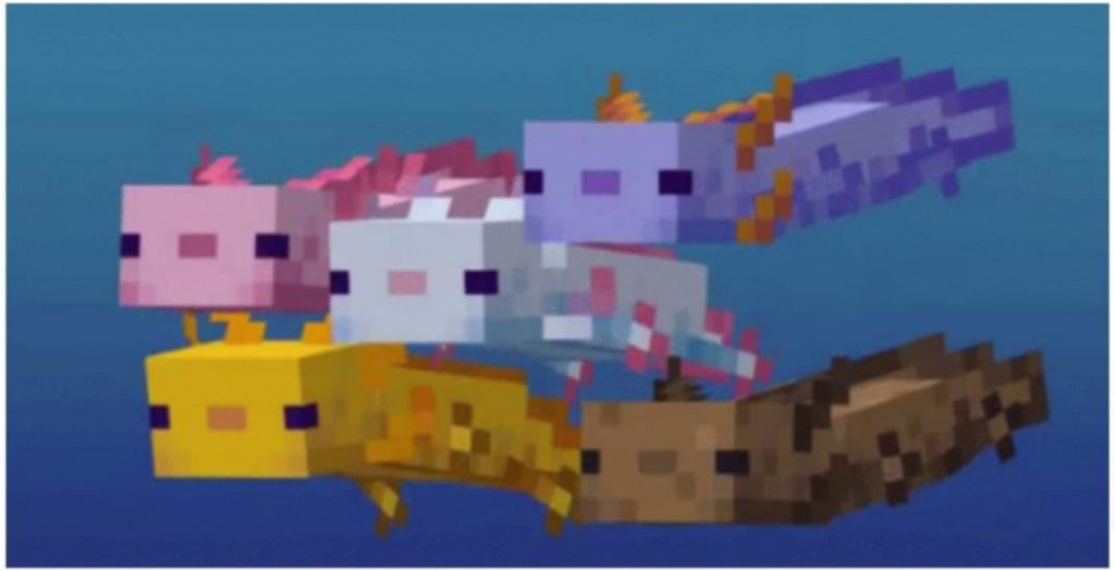 all minecraft animals