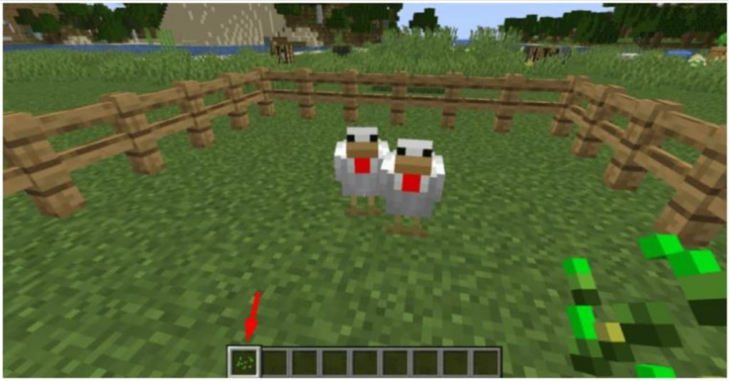 The Best Minecraft animals to Tame BrightChamps Blog