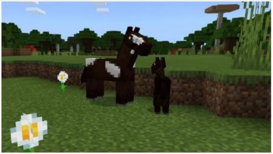 Minecraft Animals To Tame