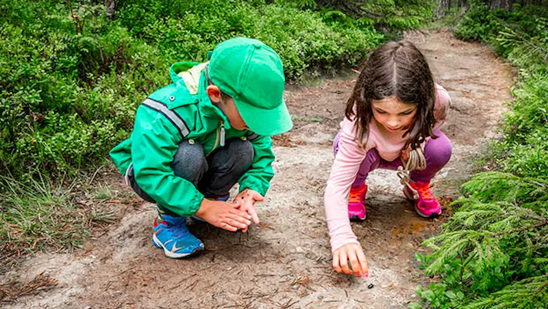 Scavenger hunt summer camps