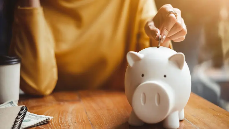 Factors to Consider When Choosing a Piggy Bank
