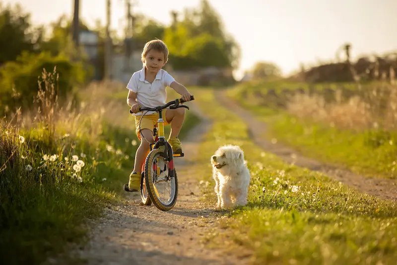 Educate kids on pet safety rules